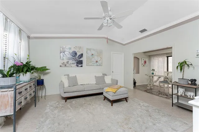 a living room with furniture and a potted plant