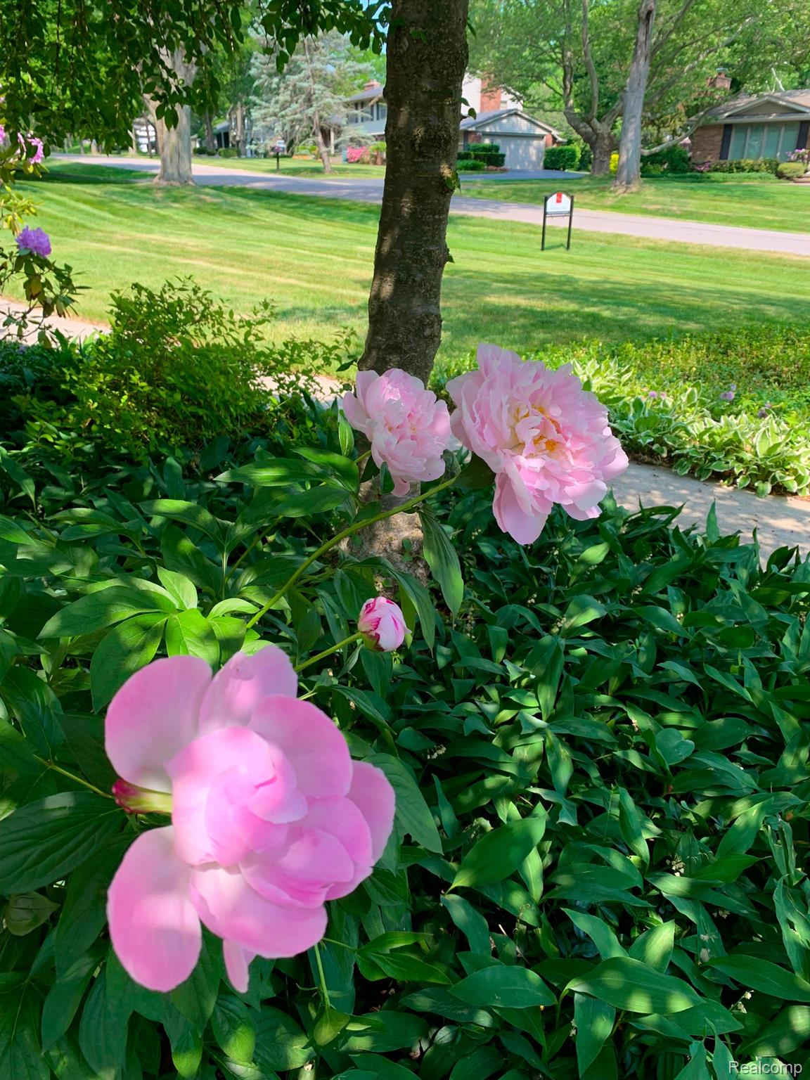 1010 Rock Spring Road Bloomfield Hills, MI 48304 - Photo 44 of 45 Gallery Image 44