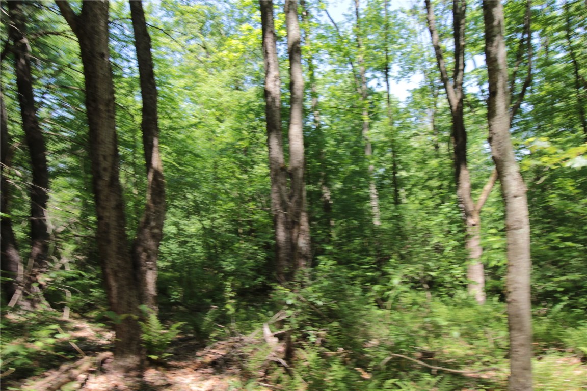 144 Steed Road Chenango Forks, NY 13746 - Photo 11 of 31 Gallery Image 11