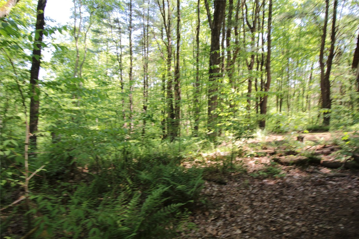 144 Steed Road Chenango Forks, NY 13746 - Photo 12 of 31 Gallery Image 12