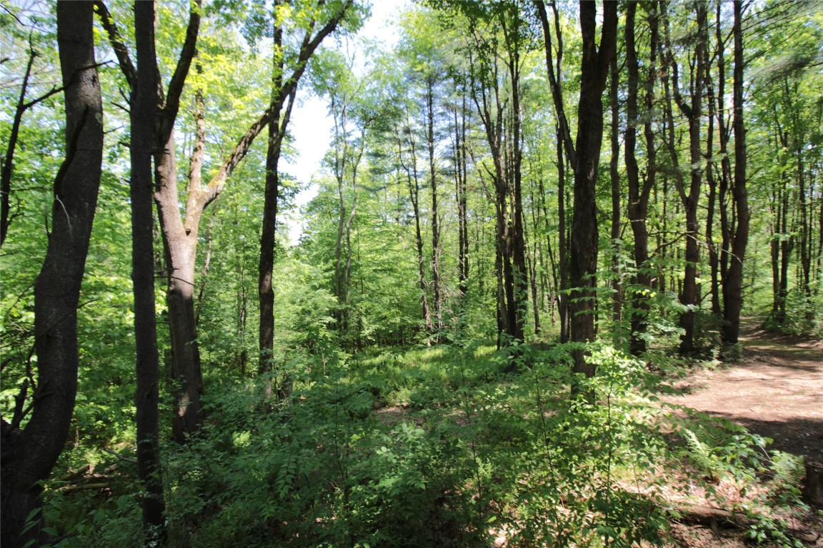 144 Steed Road Chenango Forks, NY 13746 - Photo 28 of 31 Gallery Image 28