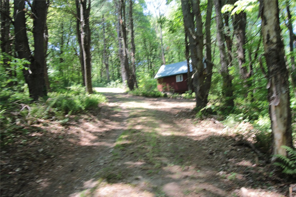 144 Steed Road Chenango Forks, NY 13746 - Photo 3 of 31 Gallery Image 3