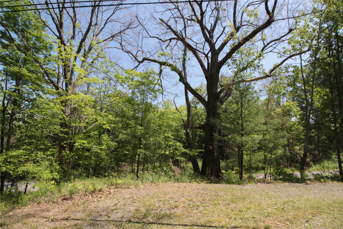 144 Steed Road Chenango Forks, NY 13746 - Photo 31 of 31 Gallery Image 31
