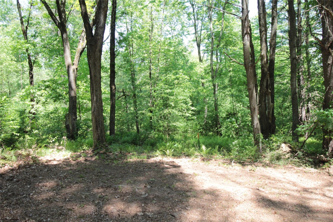 144 Steed Road Chenango Forks, NY 13746 - Photo 4 of 31 Gallery Image 4