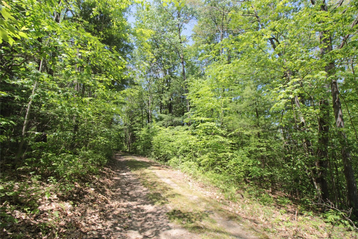 144 Steed Road Chenango Forks, NY 13746 - Photo 5 of 31 Gallery Image 5