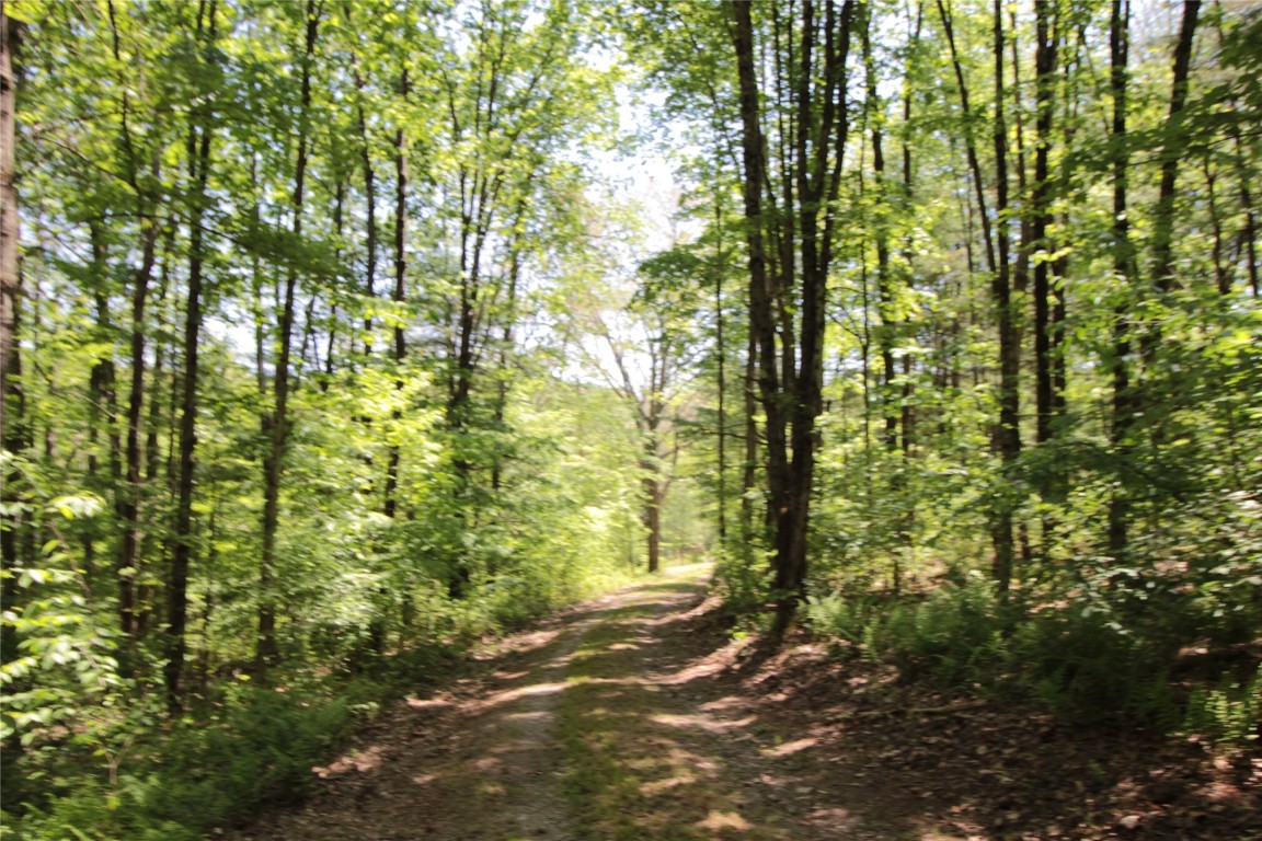 144 Steed Road Chenango Forks, NY 13746 - Photo 6 of 31 Gallery Image 6