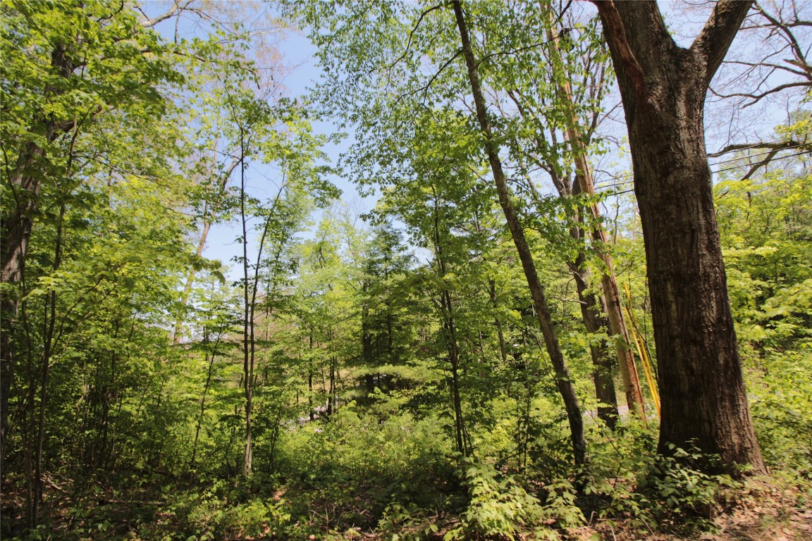 144 Steed Road Chenango Forks, NY 13746 - Photo 7 of 31 Gallery Image 7