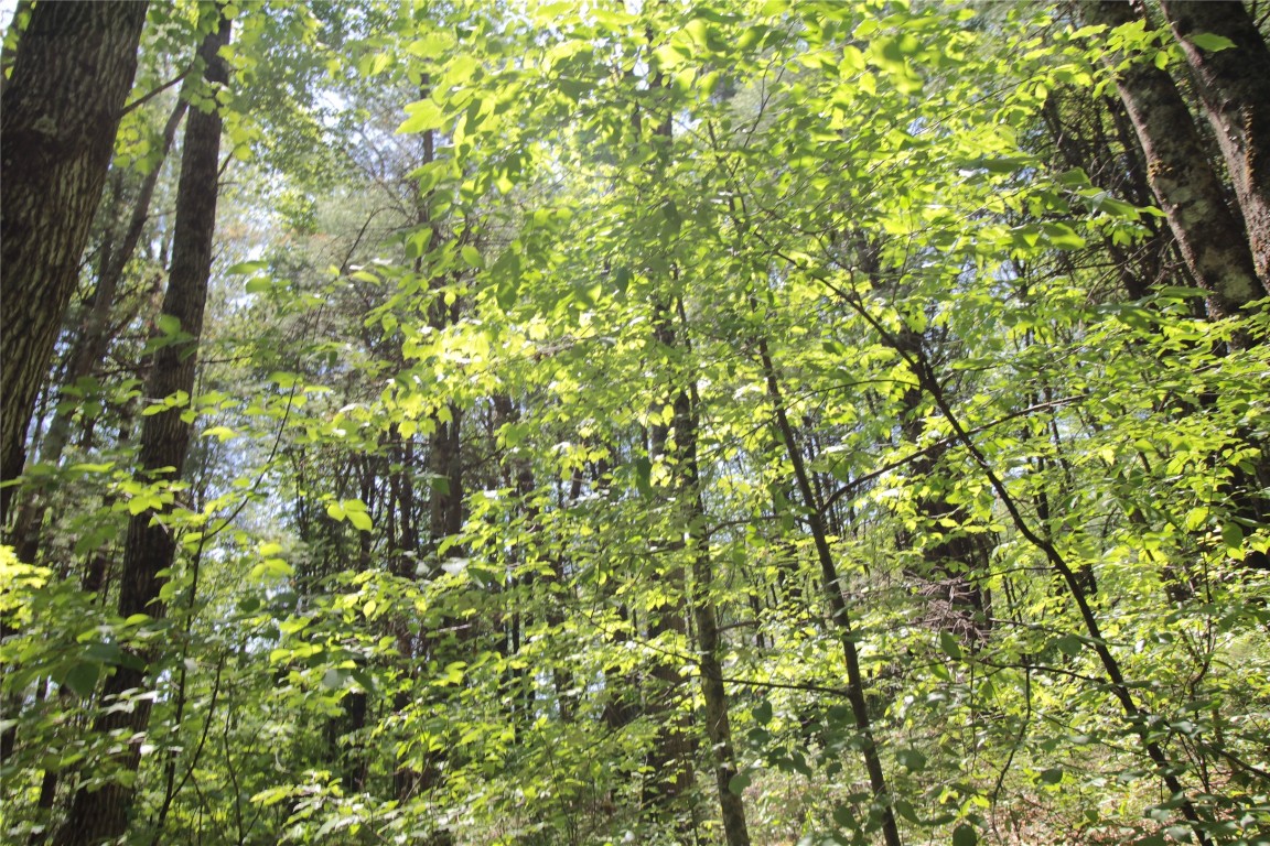 144 Steed Road Chenango Forks, NY 13746 - Photo 8 of 31 Gallery Image 8
