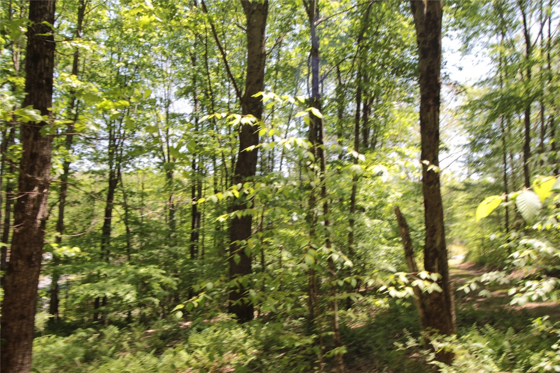 144 Steed Road Chenango Forks, NY 13746 - Photo 10 of 31 Gallery Image 10