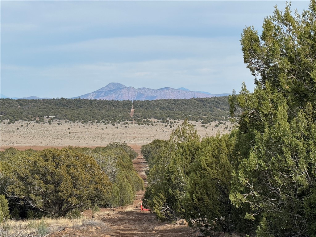 34745 West Running Shadow Road Seligman, AZ 86337 - Photo 1 of 52