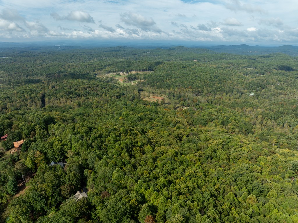 175 Oak Ledge Road Morganton, GA 30560 - Photo 49 of 62