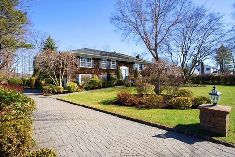 a view of a yard with plants and large trees