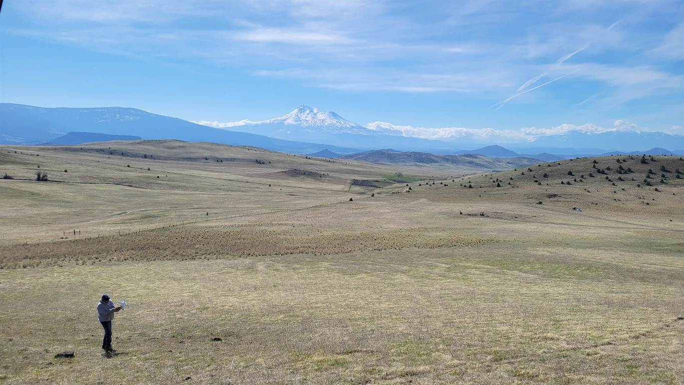 Xox Townsend Road Weed, CA 96034 - Photo 8 of 12 Gallery Image 8