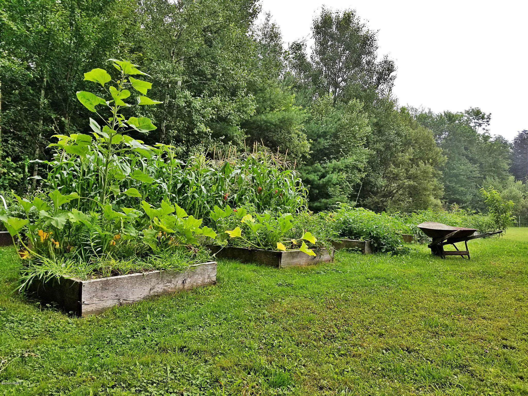 262 Loop Road Savoy, MA 01256 - Photo 9 of 40 Raised Veggie Garden Beds