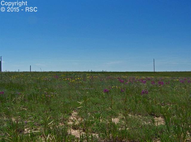 8355 Yoder Road Calhan, CO 80808 - Photo 8 of 8 View to the West