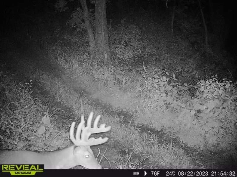Oak Road Greeley, IA 52050 - Photo 10 of 28 Gallery Image 10