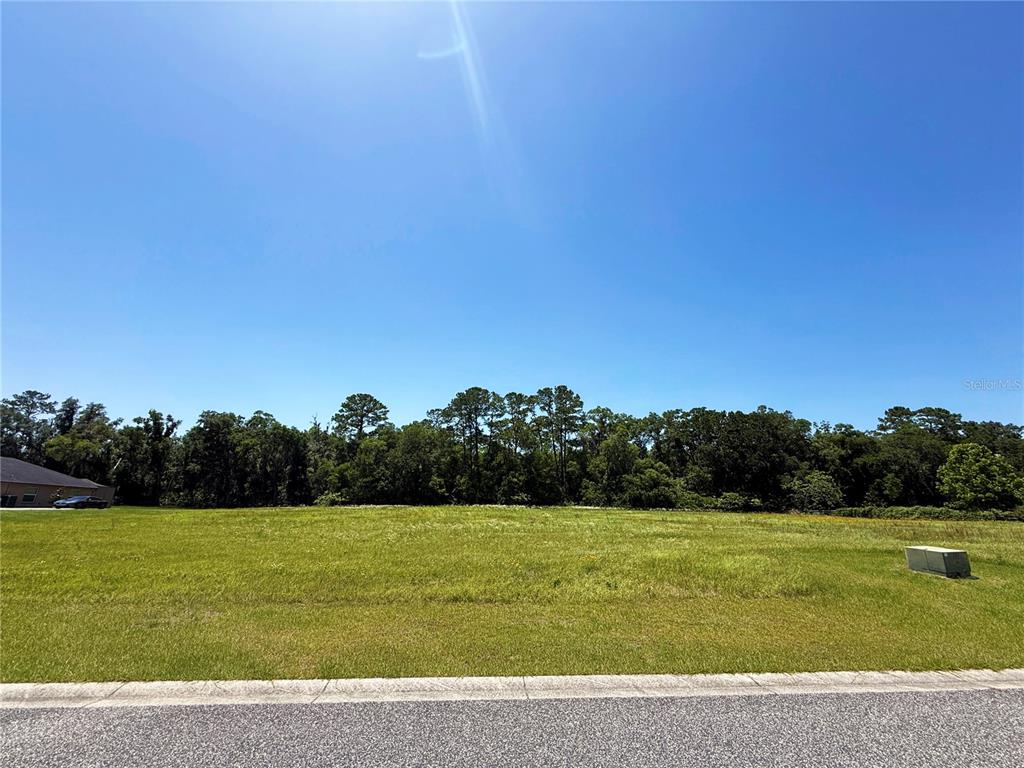 32 Northwest 79th Loop Ocala, FL 34475 - Photo 2 of 8