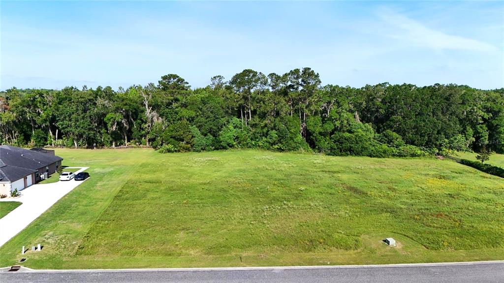 32 Northwest 79th Loop Ocala, FL 34475 - Photo 6 of 8 a view of a field with of trees