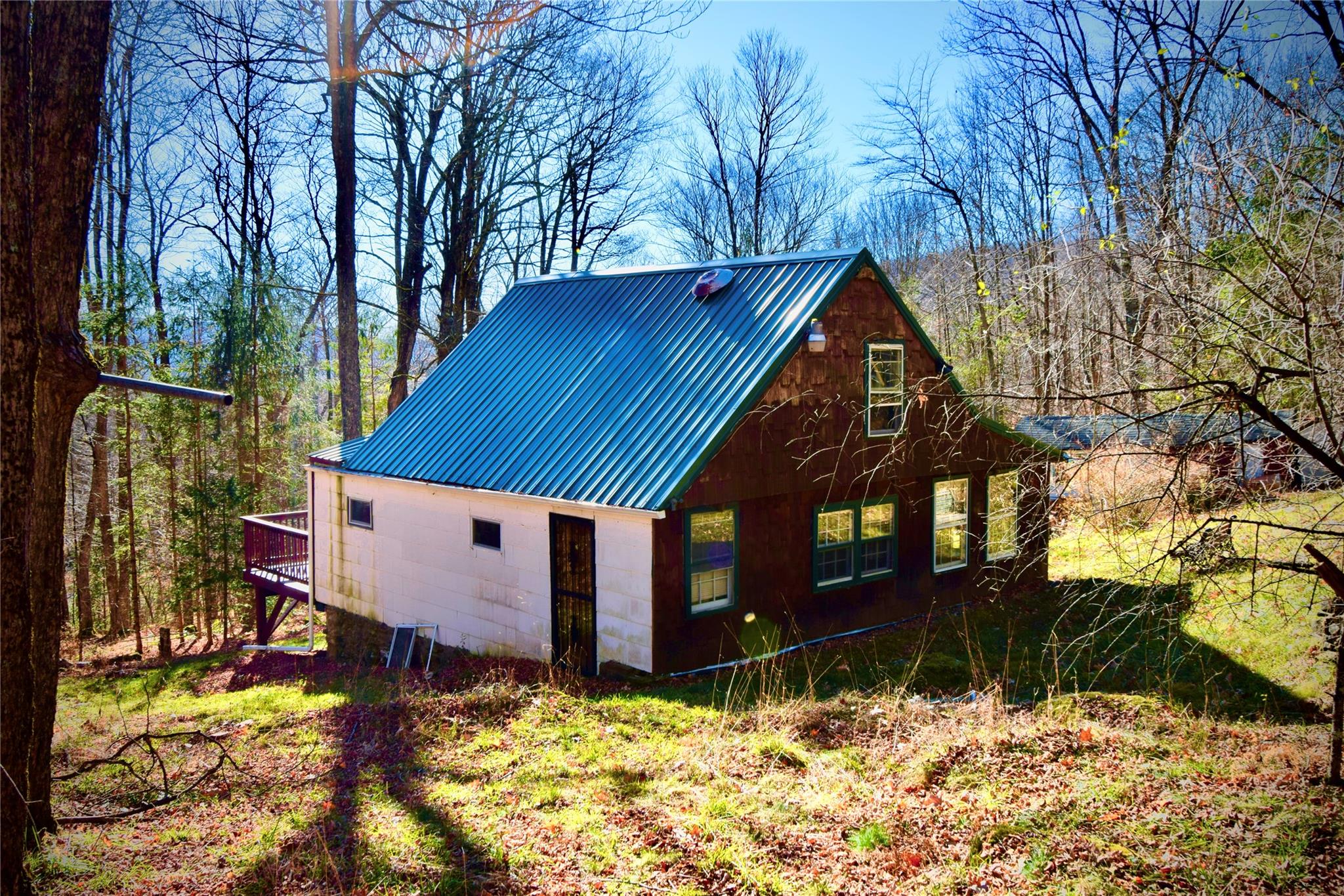 339 Mountain Lake Road Andes, NY 13731 - Photo 13 of 36 View of property exterior