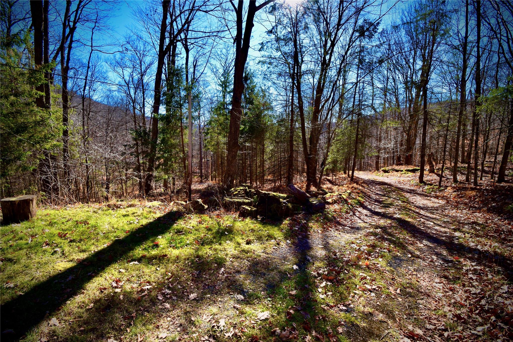 339 Mountain Lake Road Andes, NY 13731 - Photo 16 of 36 View of landscape