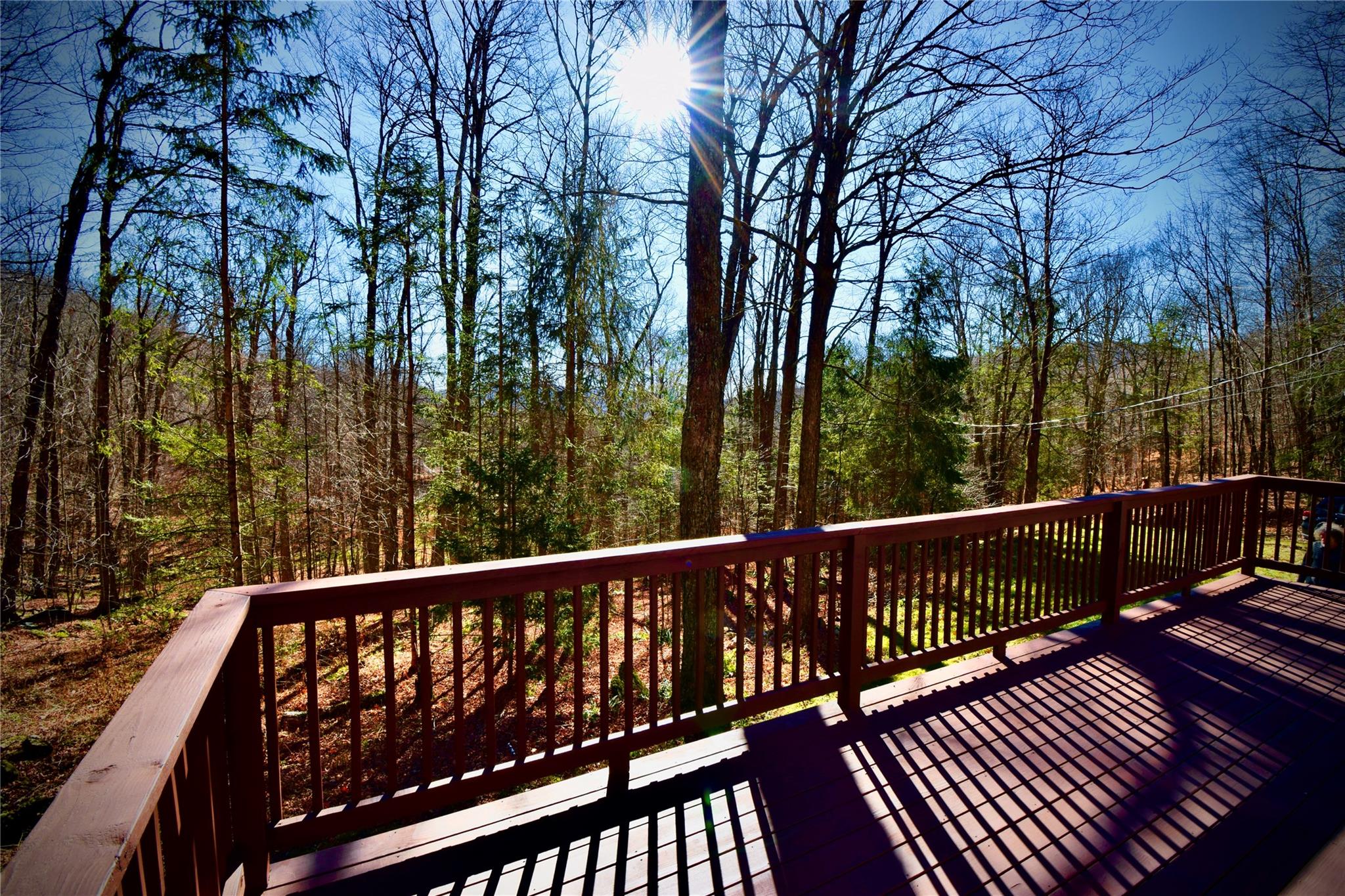 339 Mountain Lake Road Andes, NY 13731 - Photo 3 of 36 View of deck