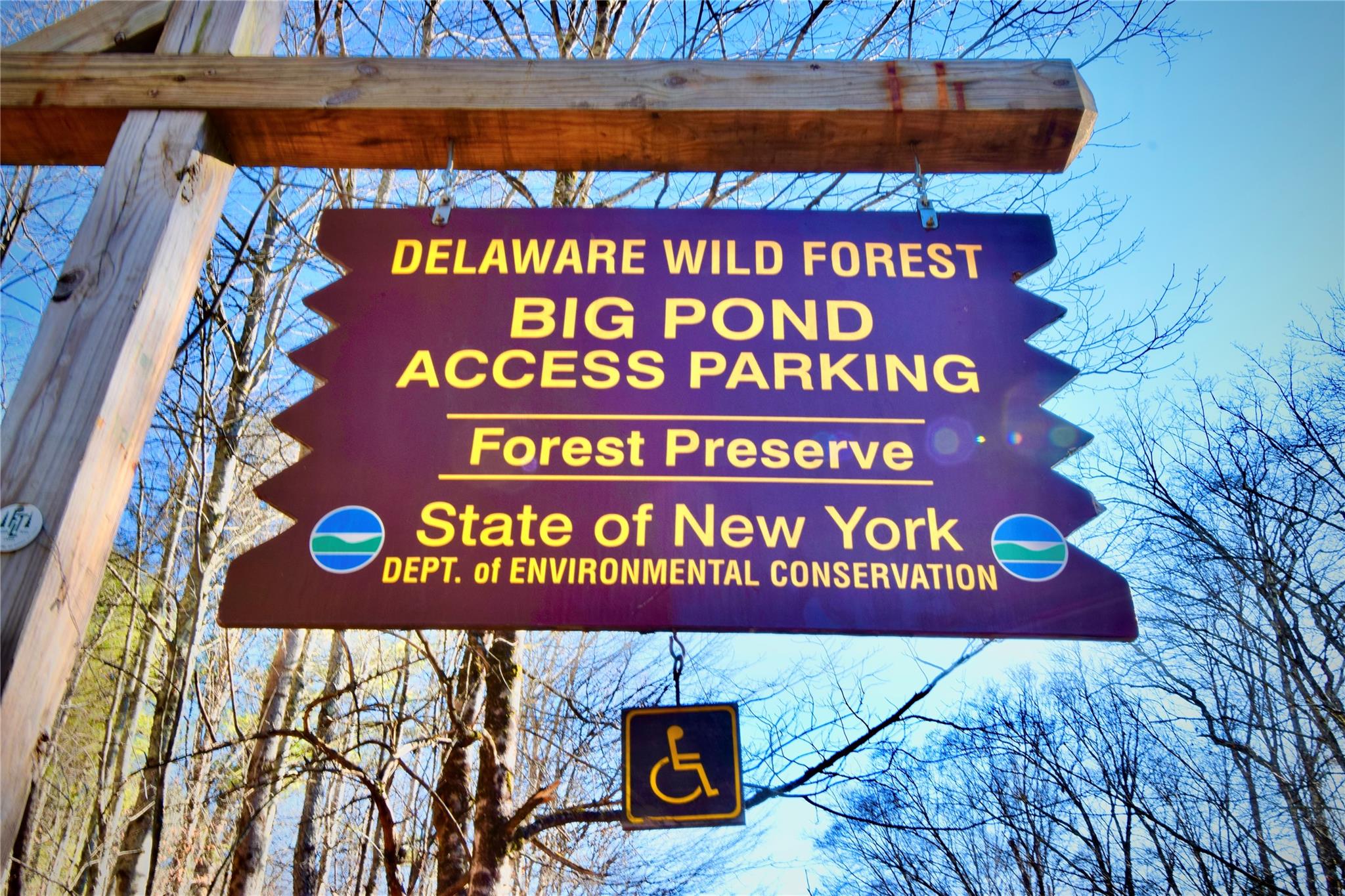 339 Mountain Lake Road Andes, NY 13731 - Photo 36 of 36 View of exterior details