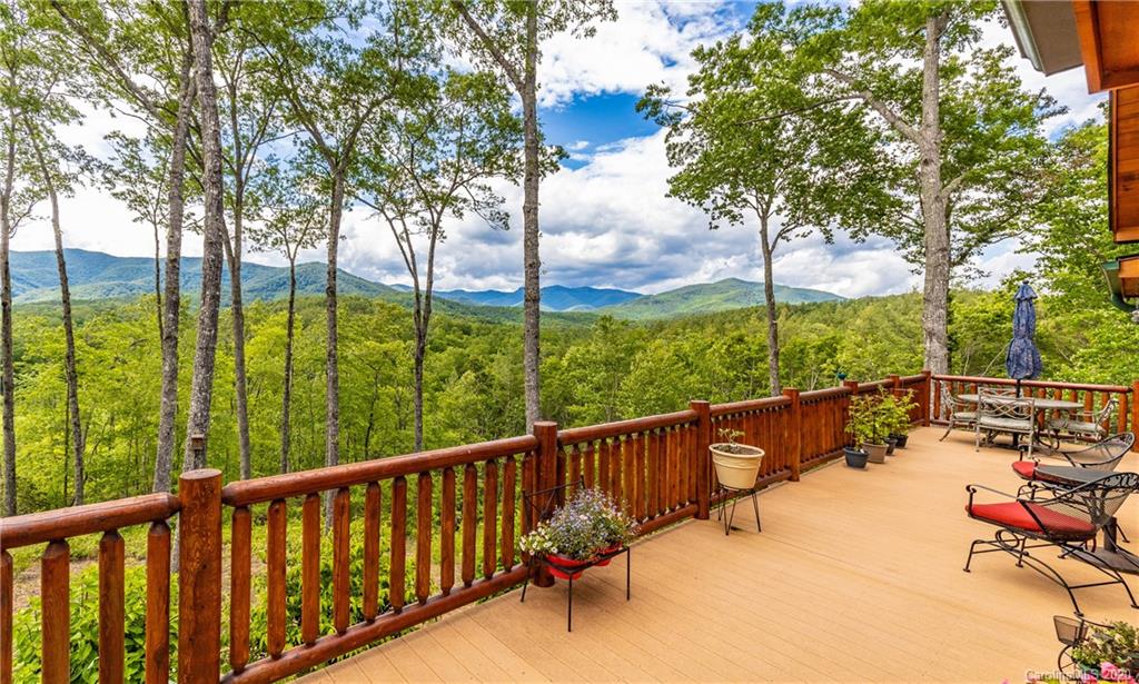 1411 Tanasee Gap Road Balsam Grove, NC 28708 - Photo 3 of 39 Gallery Image 3