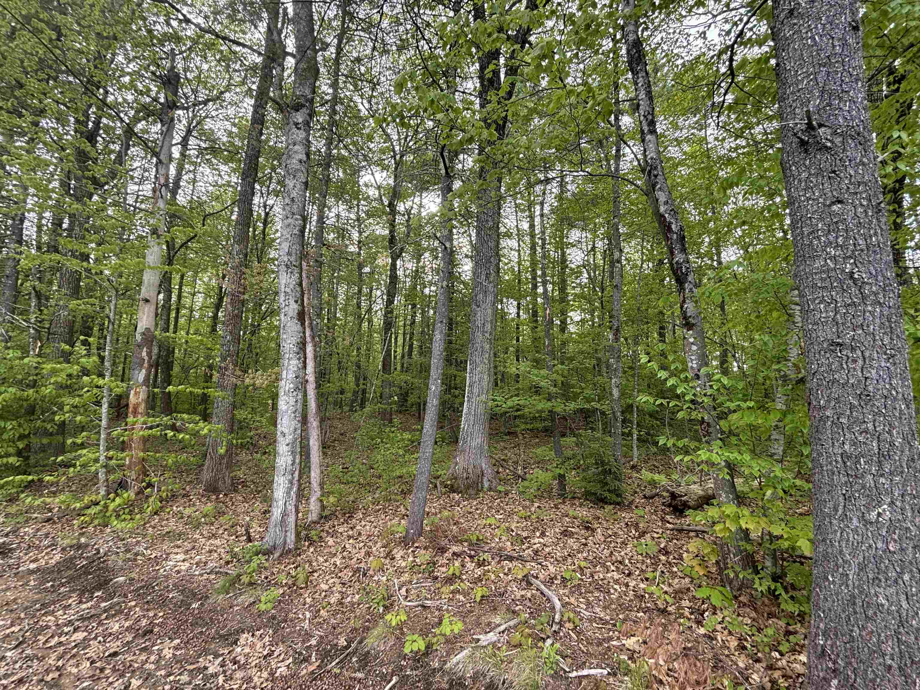 Wildcat Road, Unit 10 Barrington, NH 03825 - Photo 1 of 4 Gallery Image 1