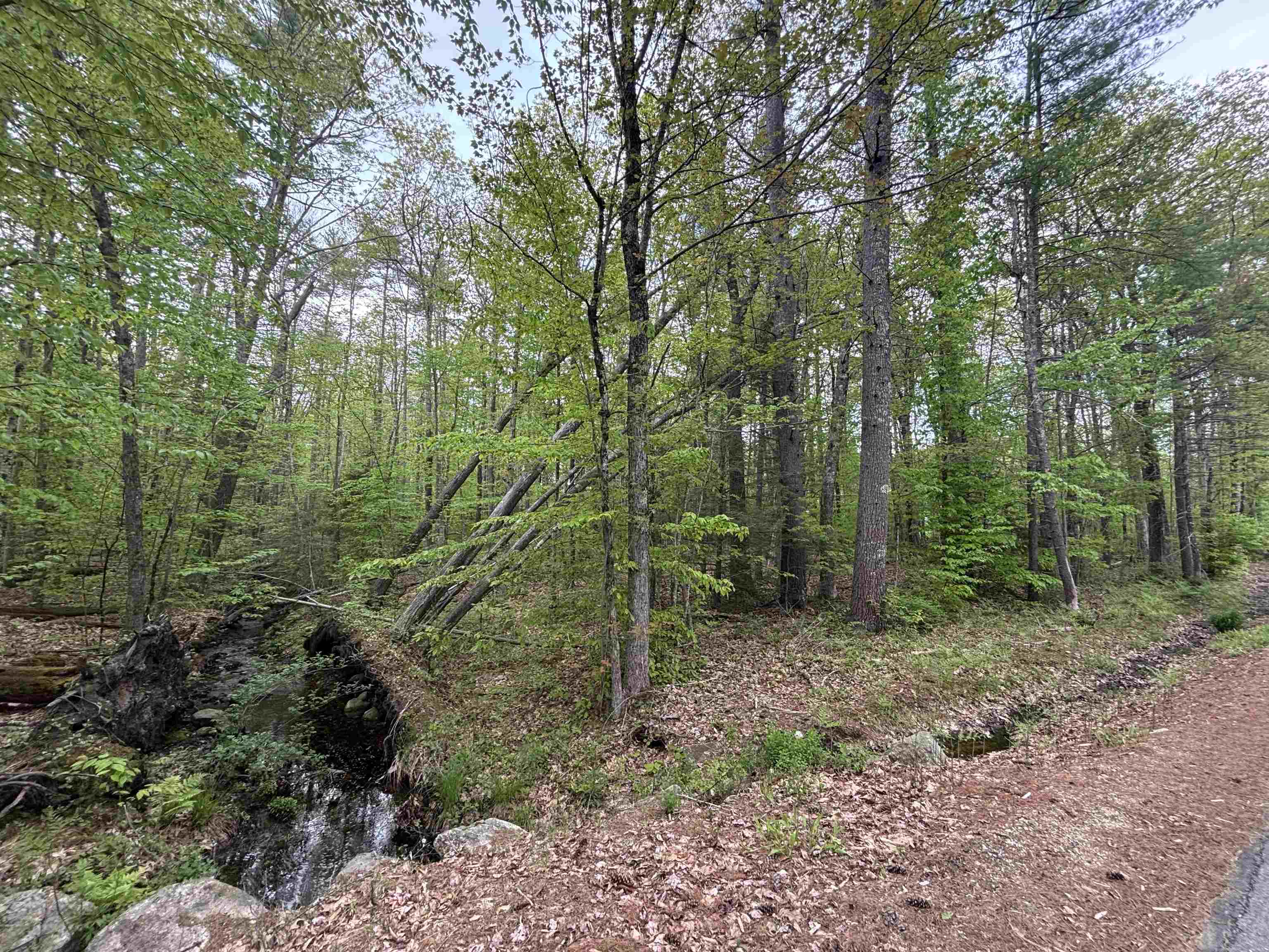 Wildcat Road, Unit 10 Barrington, NH 03825 - Photo 2 of 4 Gallery Image 2
