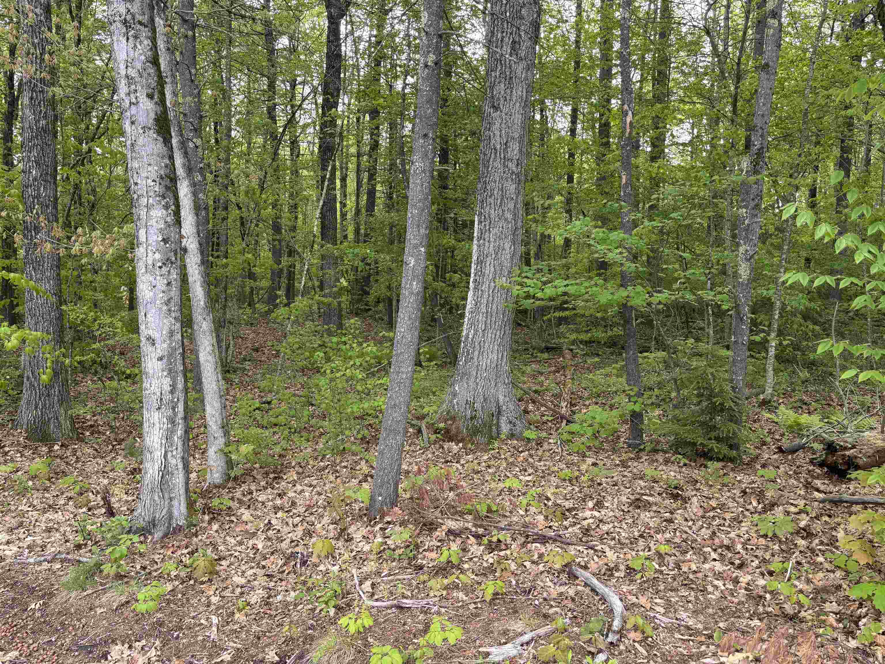 Wildcat Road, Unit 10 Barrington, NH 03825 - Photo 4 of 4 Gallery Image 4