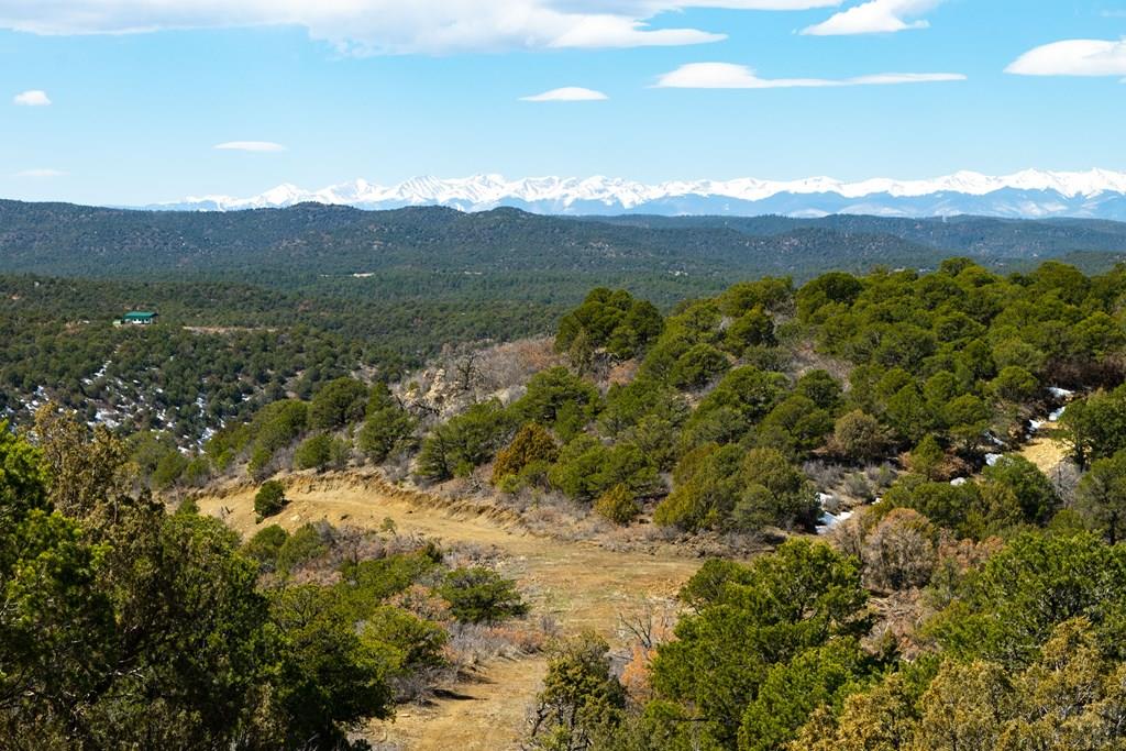 Tbd Turkey Run Trinidad, CO 81082 - Photo 44 of 60