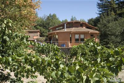 5610 Rio Vida Lane Sebastopol, CA 95472 - Photo 8 of 11 Hobby vineyard in front.