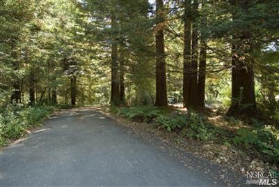 5610 Rio Vida Lane Sebastopol, CA 95472 - Photo 9 of 11 Private Lane.