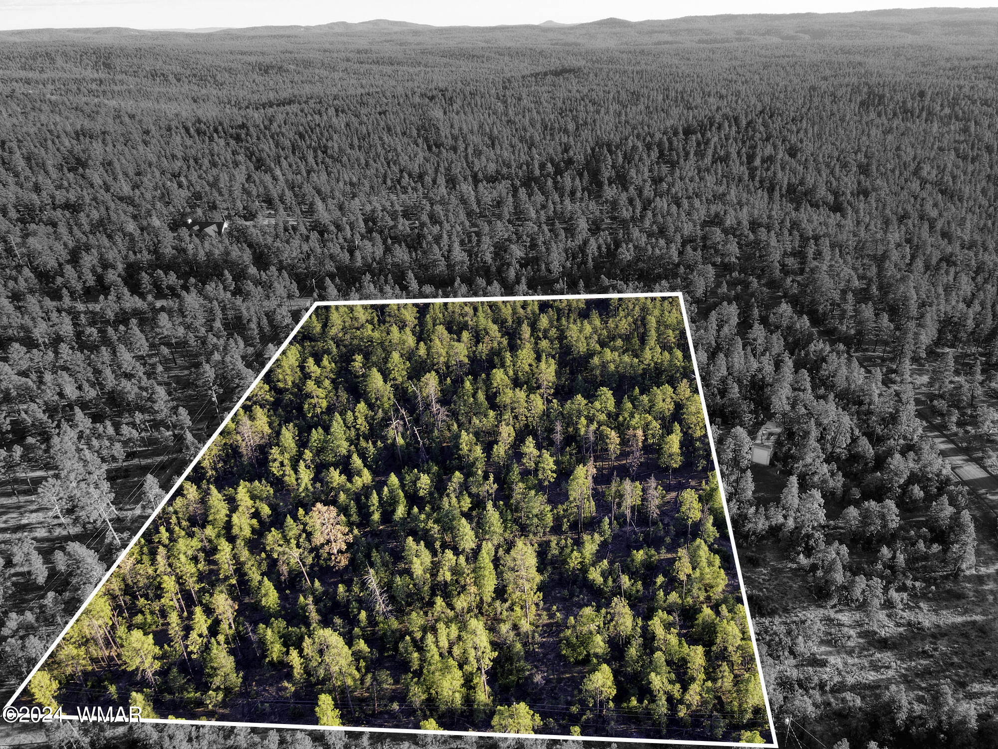 Tbd Rim Spur Lakeside, AZ 85929 - Photo 1 of 6 paxmanphoto_DJI_0580-Edit