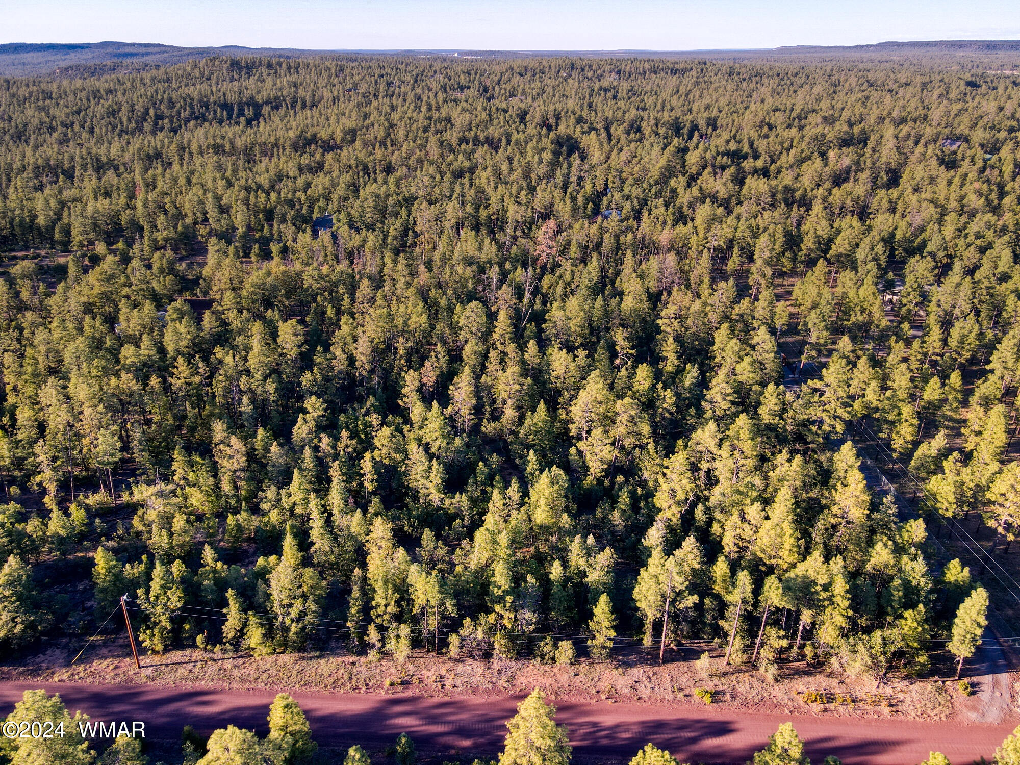 Tbd Rim Spur Lakeside, AZ 85929 - Photo 2 of 6 paxmanphotography-0565