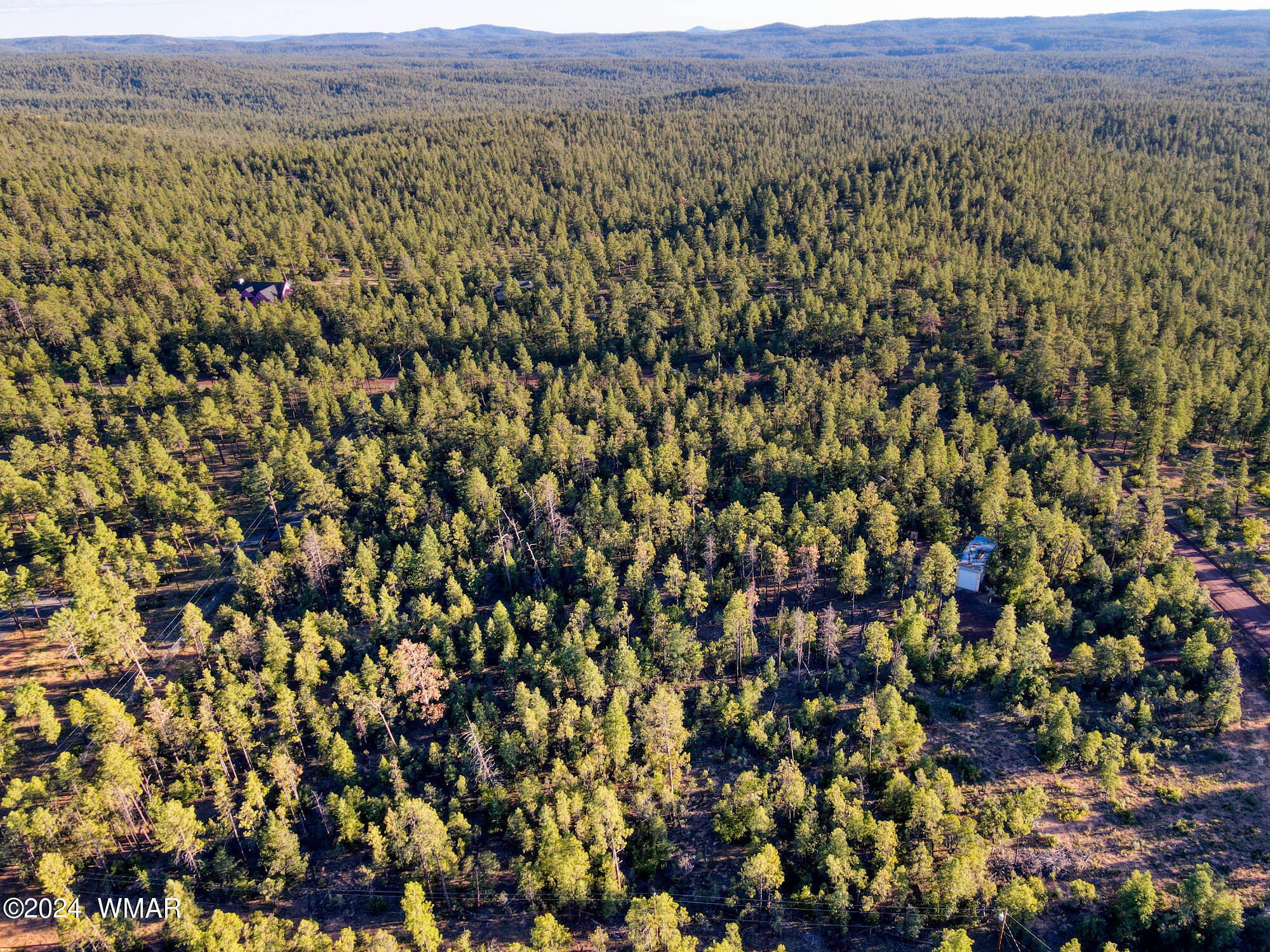 Tbd Rim Spur Lakeside, AZ 85929 - Photo 4 of 6 paxmanphotography-0580
