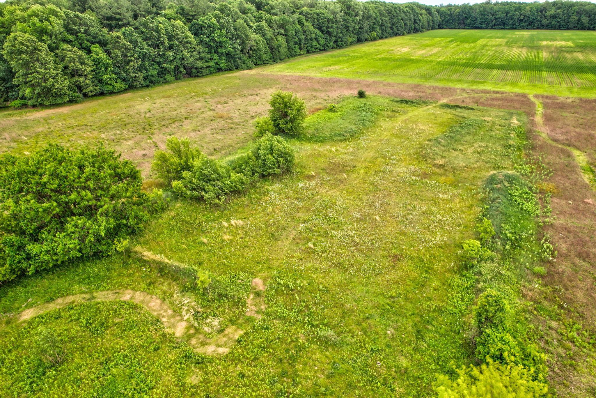7670 East Curtis Road Frankenmuth, MI 48734 - Photo 19 of 30