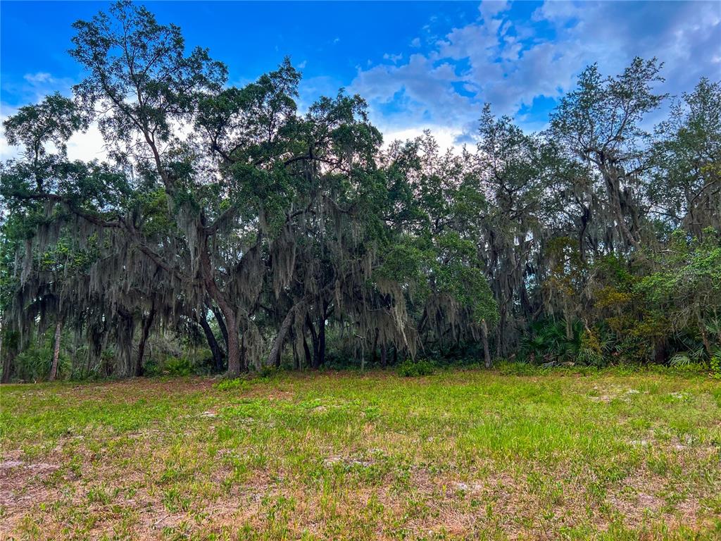 2332 Mitchell Island Road Deltona, FL 32738 - Photo 7 of 18