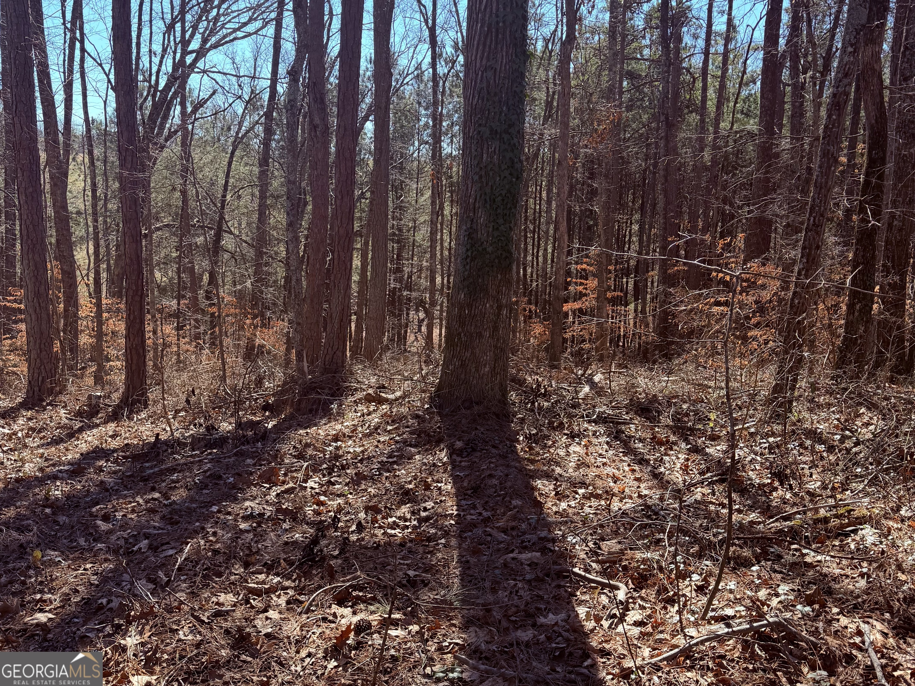 2487 South Carroll Court Villa Rica, GA 30180 - Photo 2 of 43