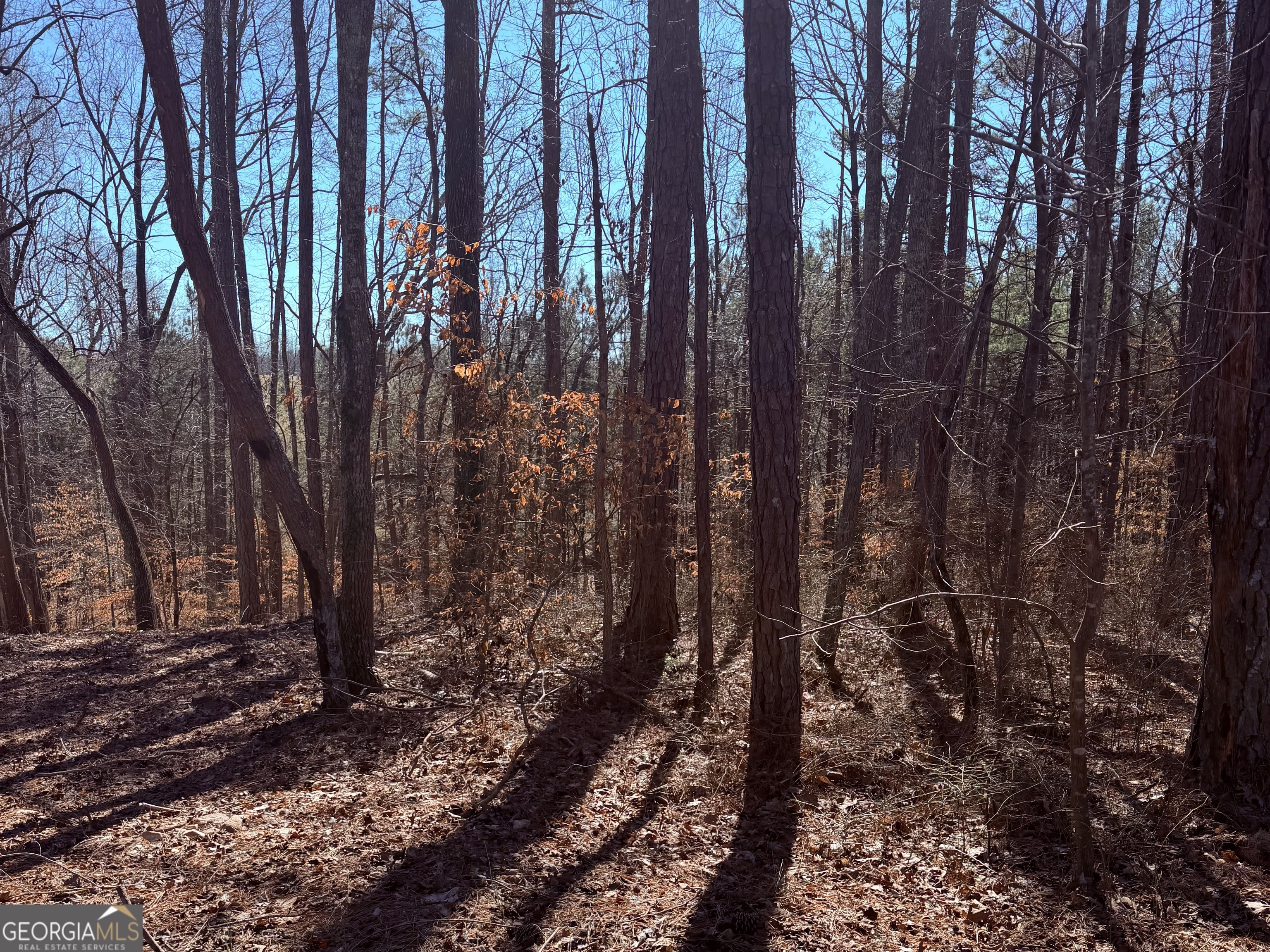 2487 South Carroll Court Villa Rica, GA 30180 - Photo 3 of 43