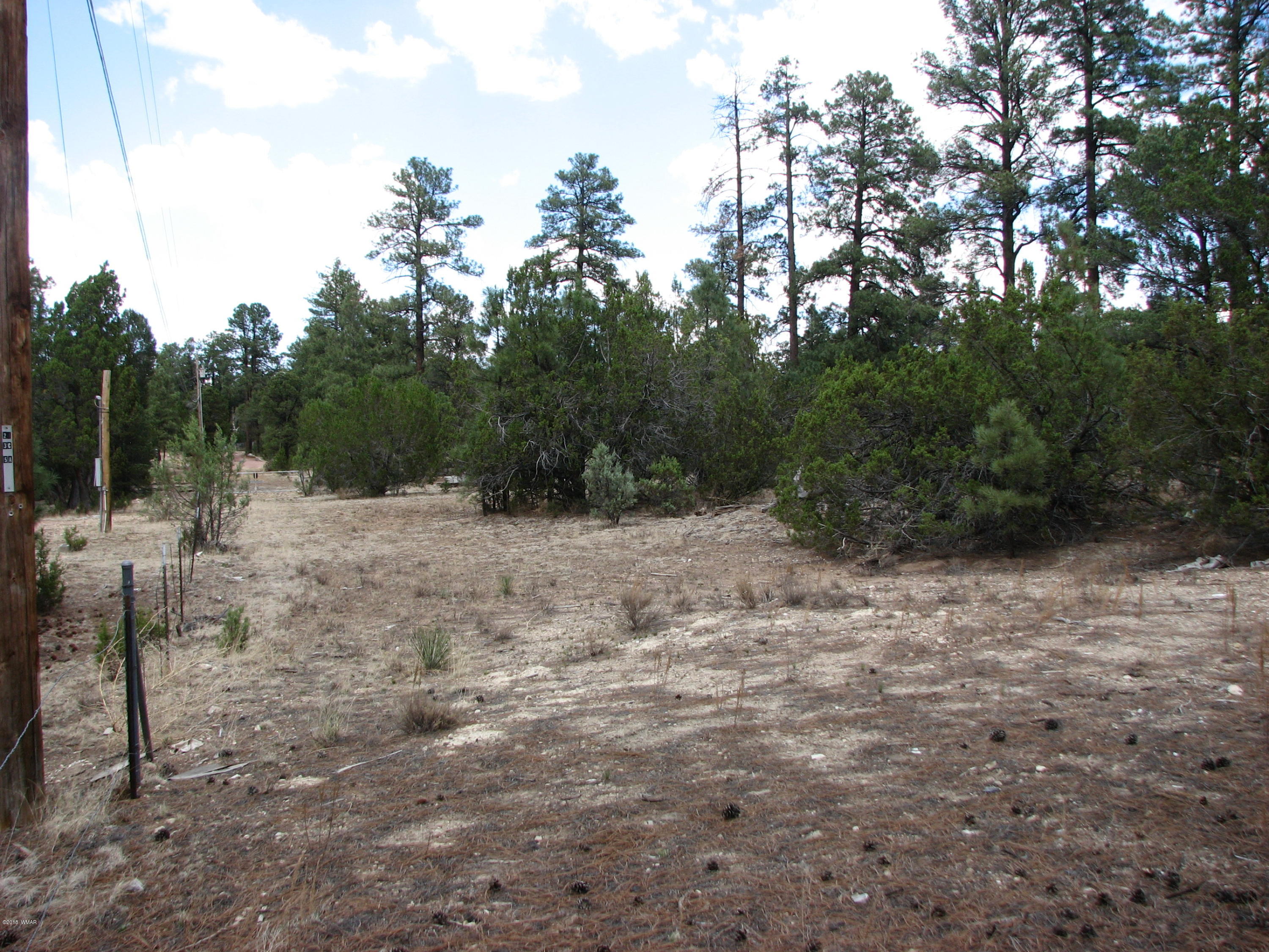 2052 Cherokee Strip Road Overgaard, AZ 85933 - Photo 4 of 8