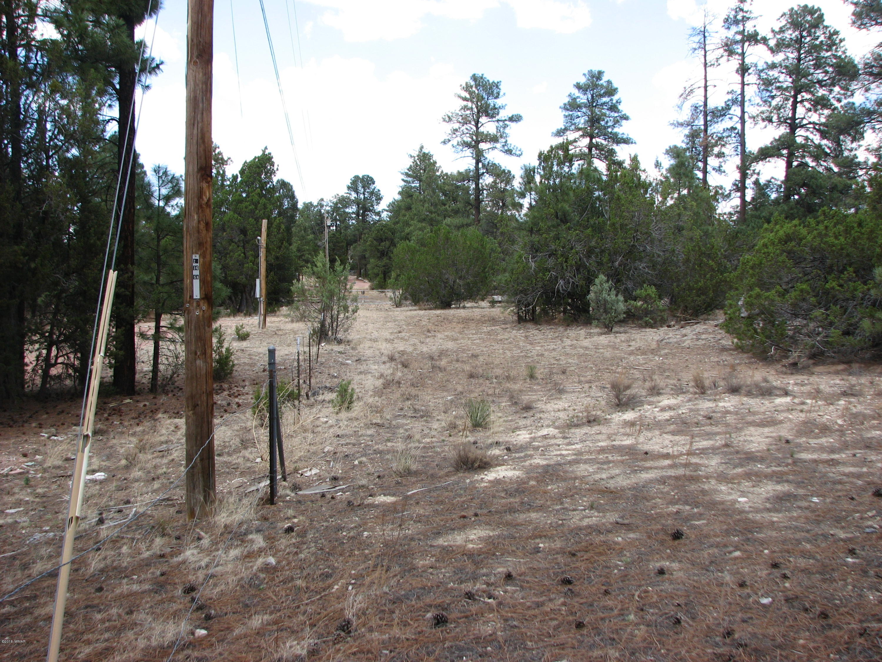 2052 Cherokee Strip Road Overgaard, AZ 85933 - Photo 5 of 8