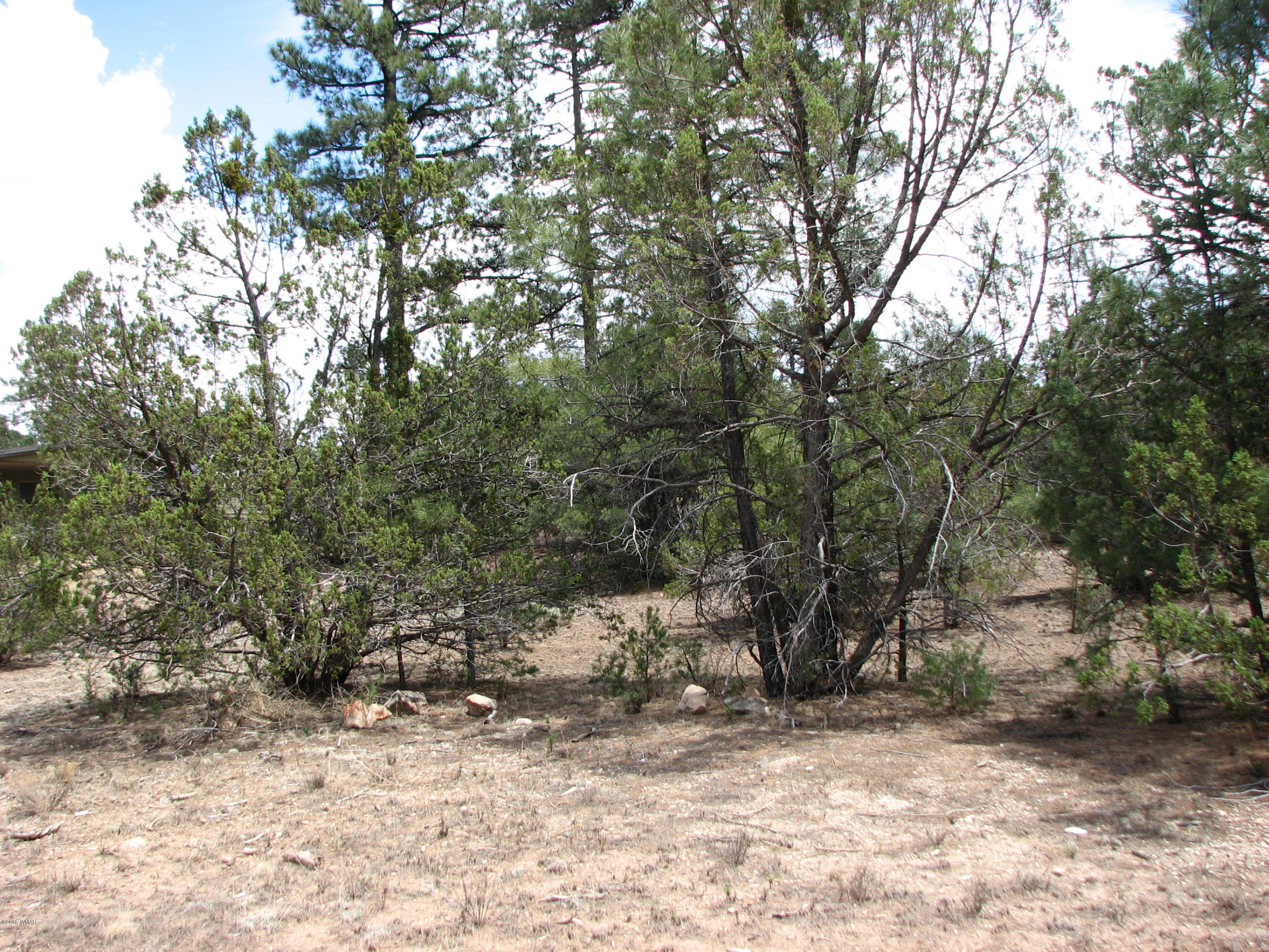 2052 Cherokee Strip Road Overgaard, AZ 85933 - Photo 6 of 8