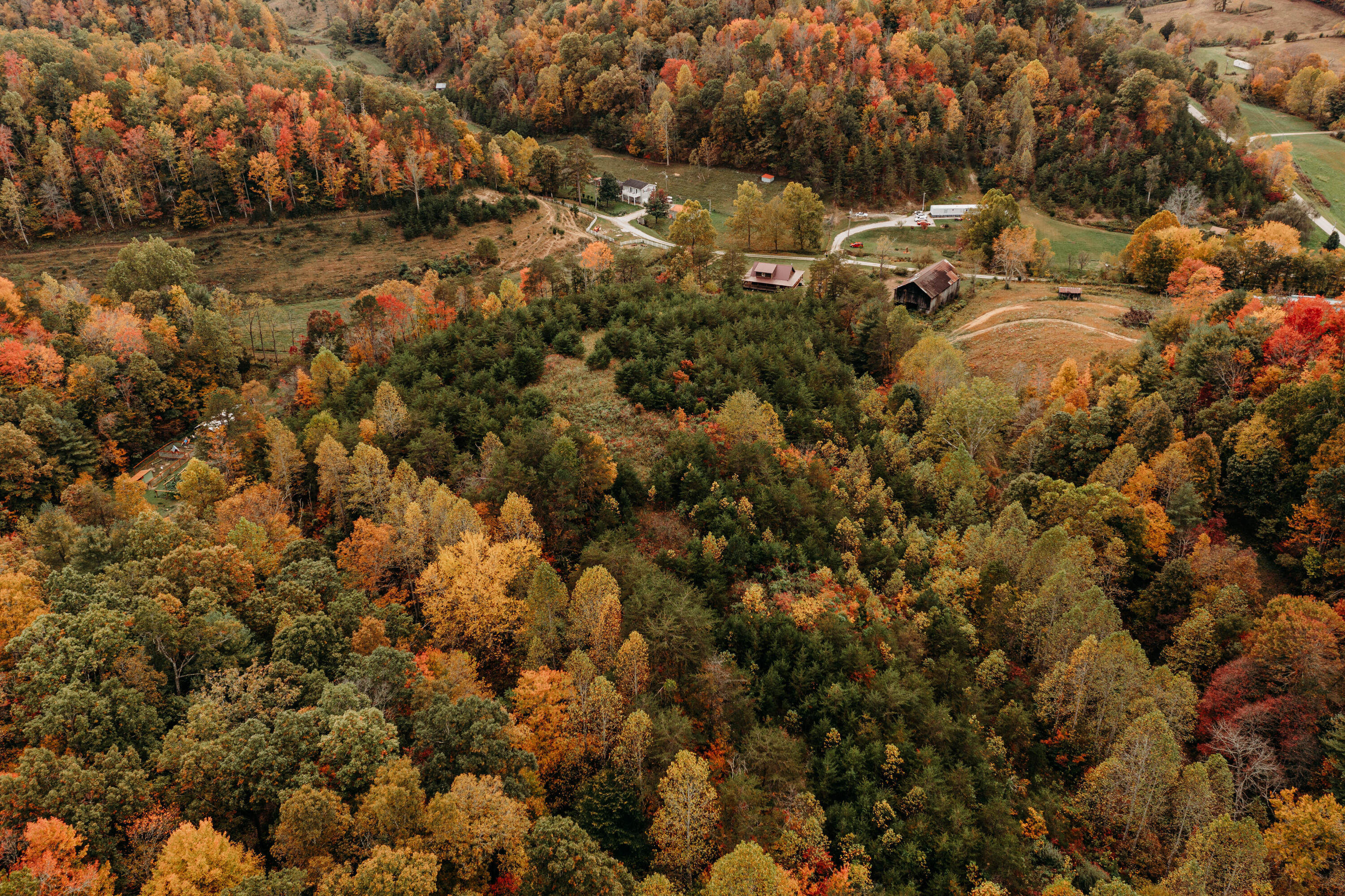 129 Strong Branch Road Hazel Green, KY 41332 - Photo 3 of 33 DJI_0238