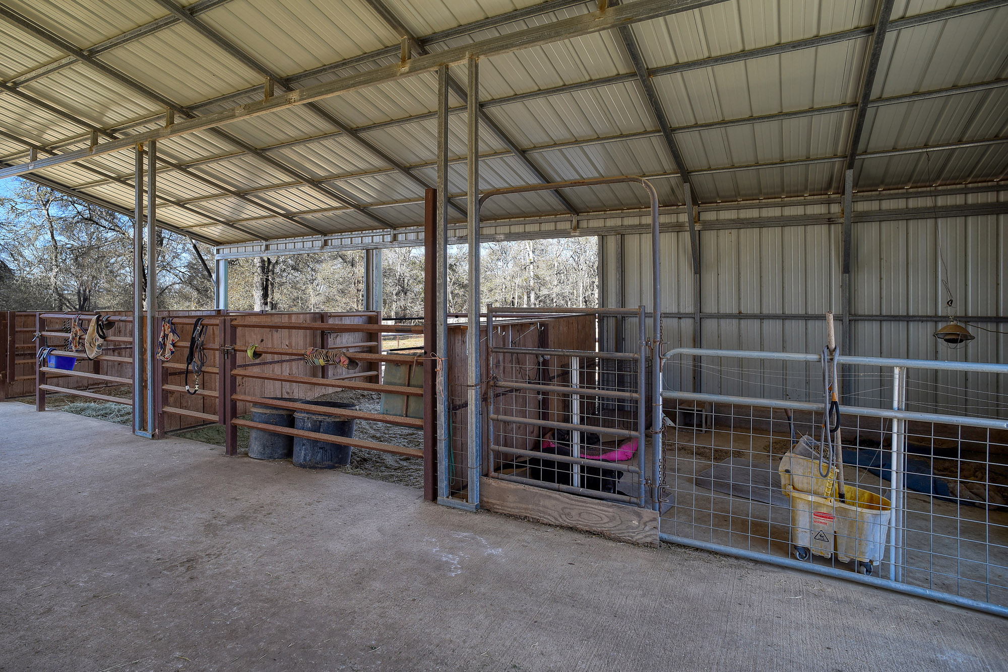 1675 Watterson Road Red Rock, TX 78662 - Photo 28 of 35