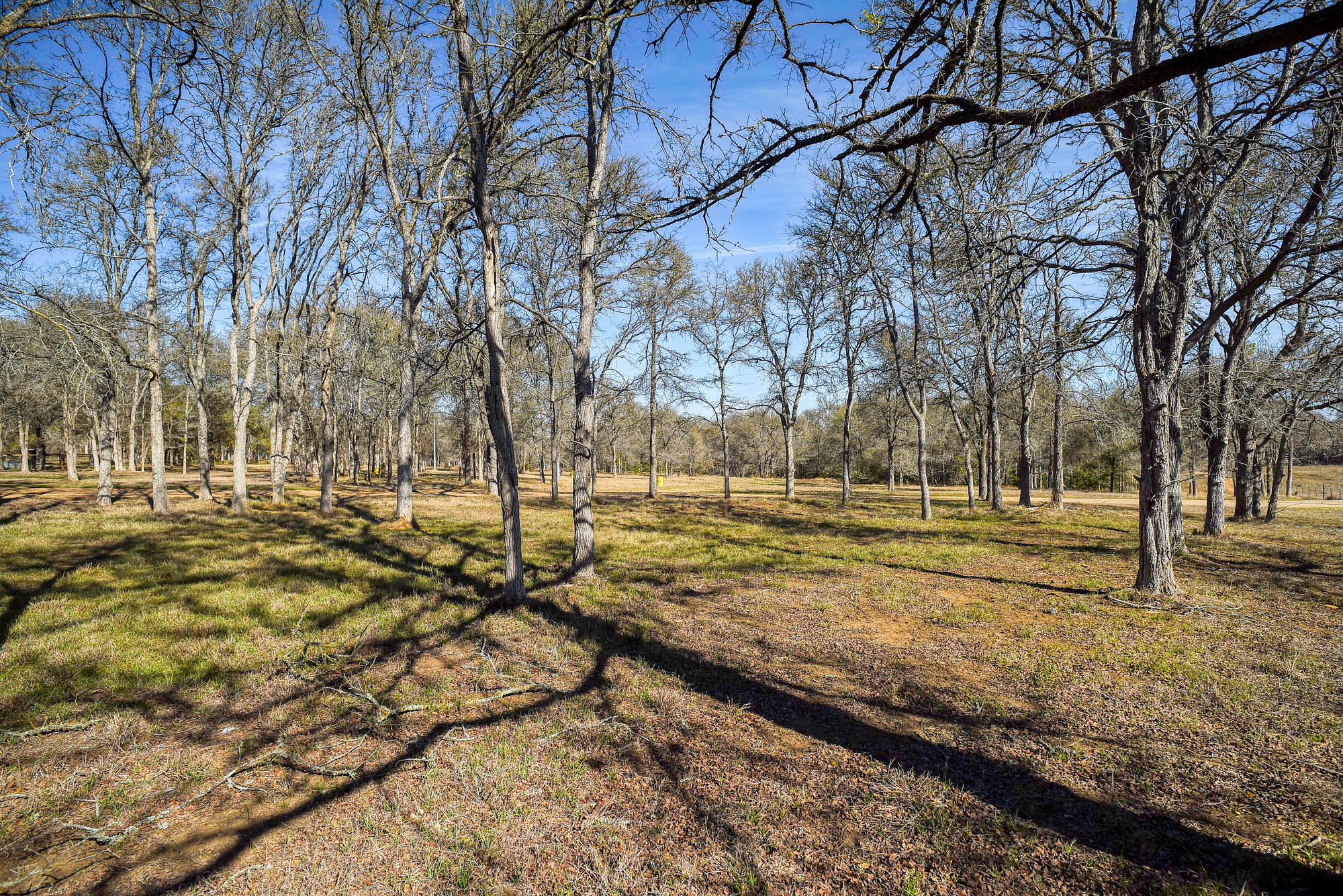 1675 Watterson Road Red Rock, TX 78662 - Photo 34 of 35