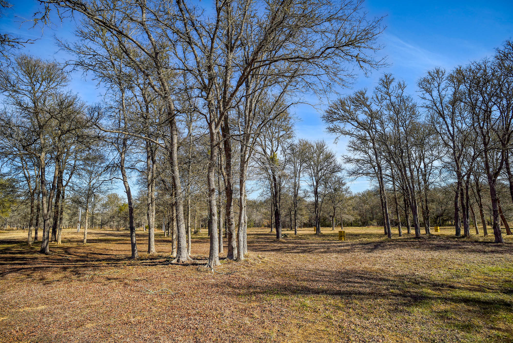 1675 Watterson Road Red Rock, TX 78662 - Photo 35 of 35