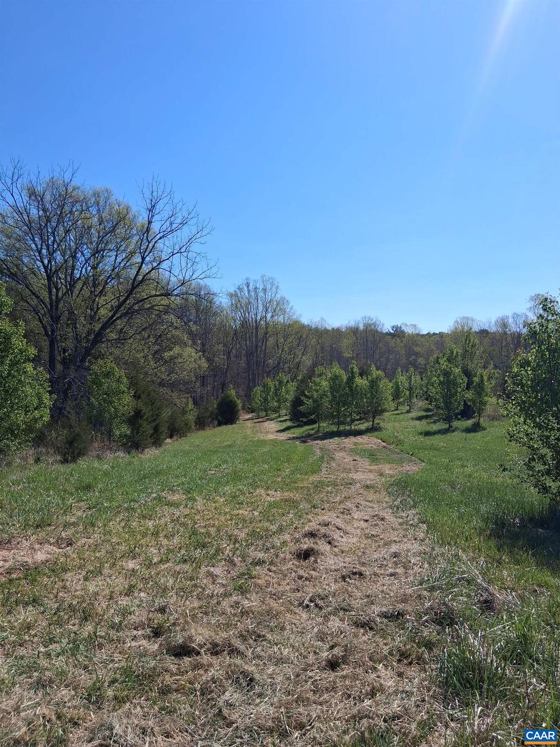 Lot 3 Ridge Road, Unit 3 Palmyra, VA 22963 - Photo 18 of 20 Gallery Image 18