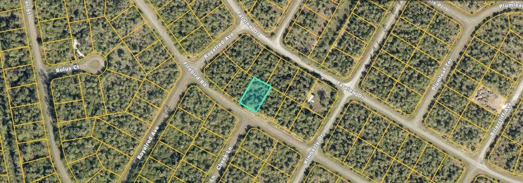 Firebird Rd Port North Port, FL 34288 - Photo 2 of 6 a close view of a backyard