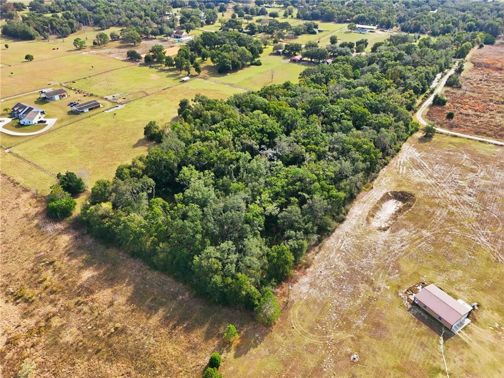 Curle Road Eustis, FL 32736 - Photo 3 of 4